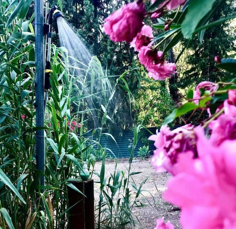 Casa Rural Con Piscina Viajar Con Mascota Гаусин Экстерьер фото